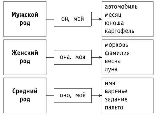 Род имен существительных таблица. Среднего рода люди составить схему. Среднего рода люди схема. Среднего рода люди схема. Среднего рода люди составить схему.
